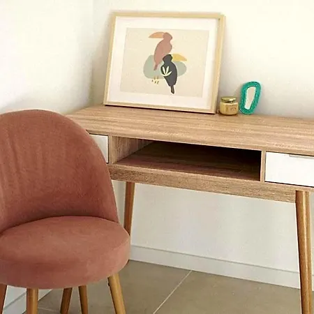 Birds Of Paradise - Boutique Surf