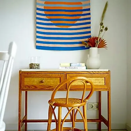 Birds Of Paradise - Boutique Surf *