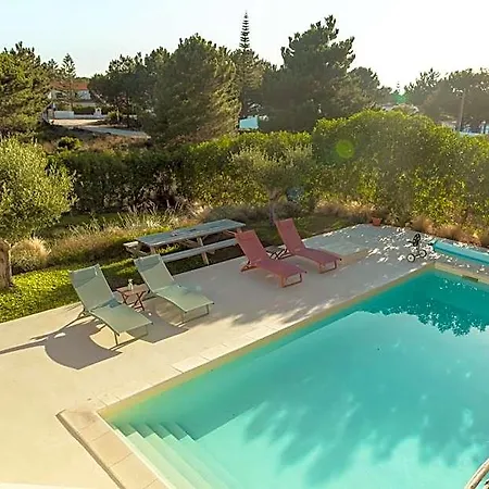 Birds Of Paradise - Boutique Surf * Aljezur